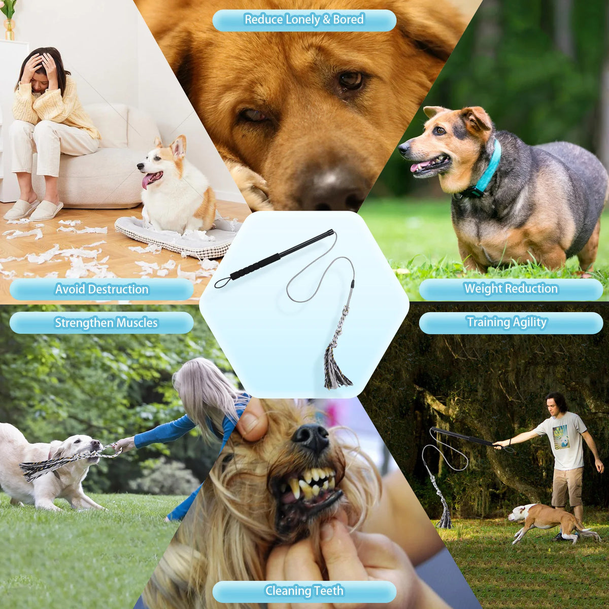 Heavy Duty Dog Flirt Pole