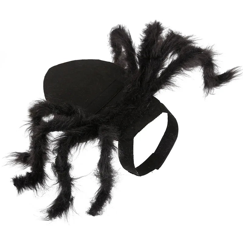 Halloween Spider Pet Costume