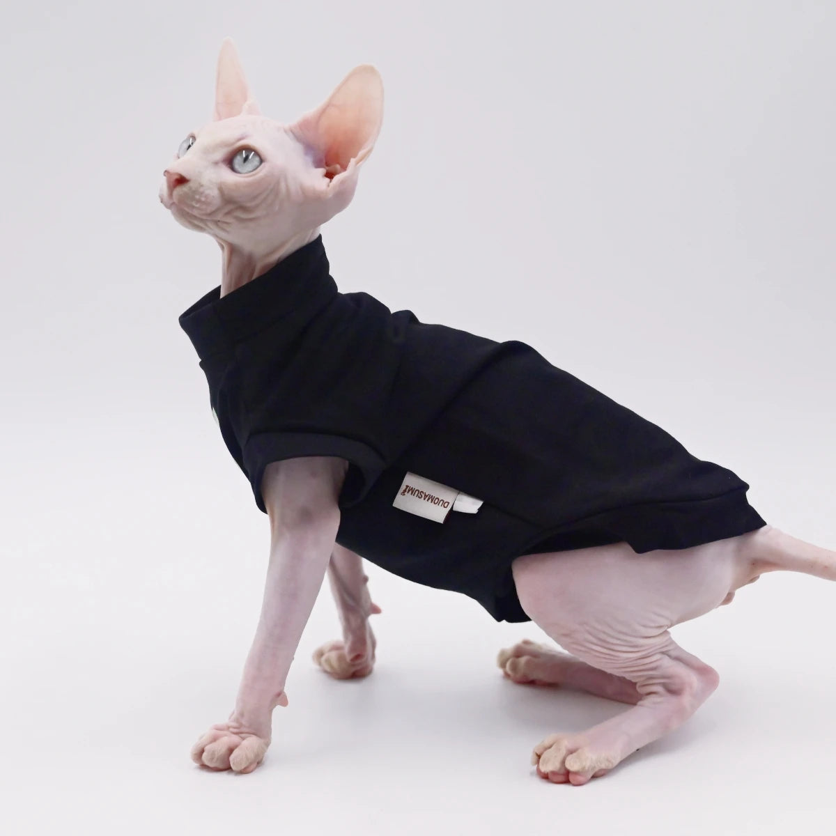 Cotton Summer Sphynx Vest