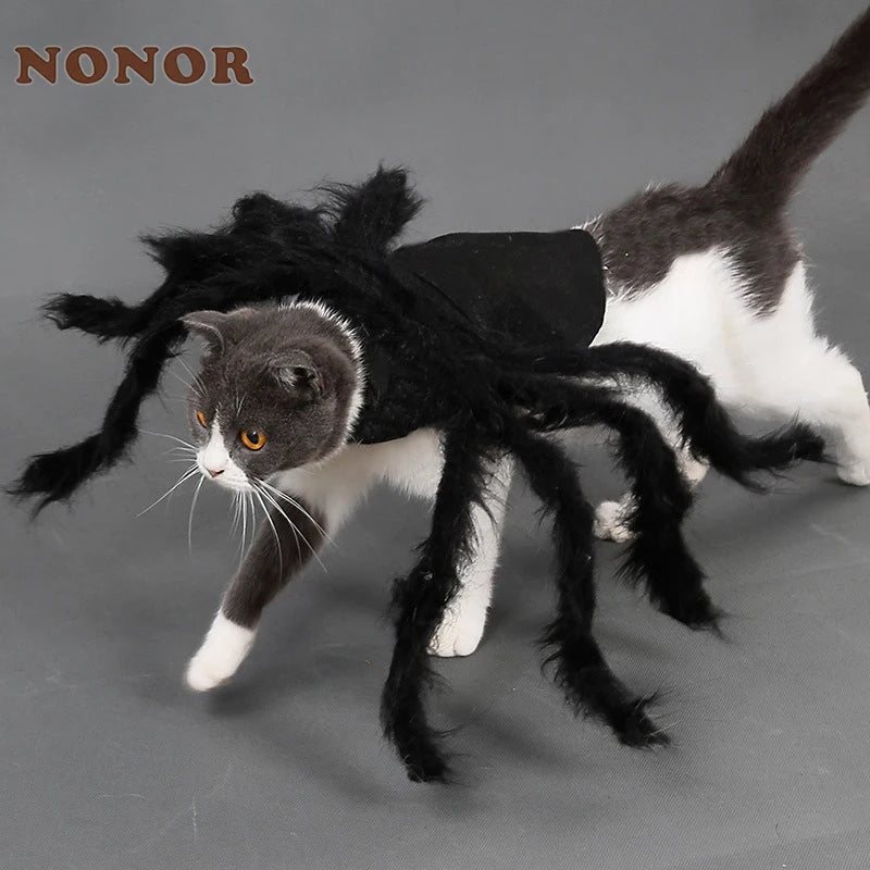 Halloween Spider Pet Costume