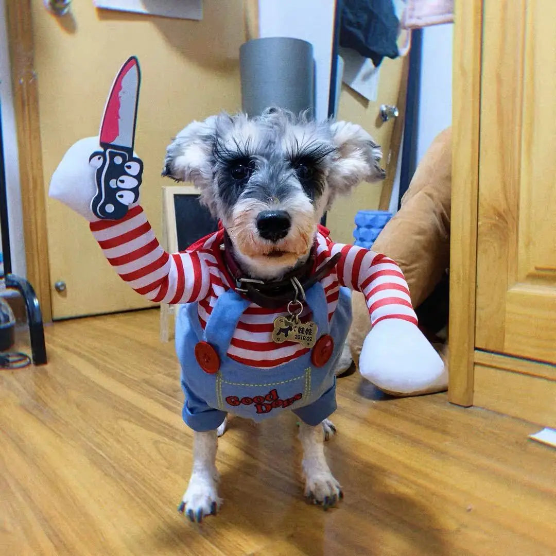 Striped Halloween Pet Costume
