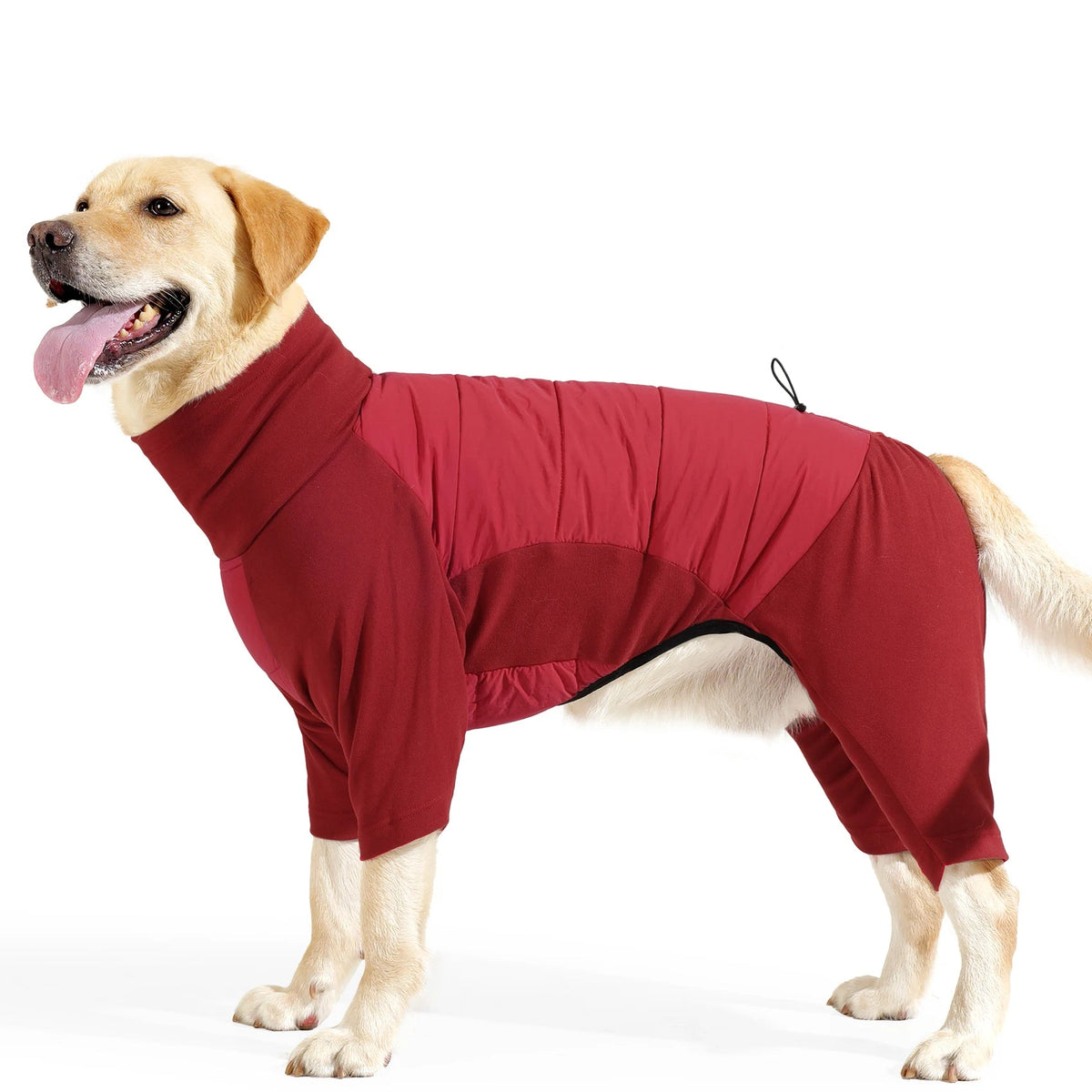 Fullbody Windproof Dog Snowsuit
