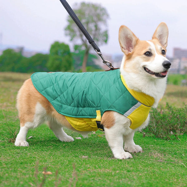 Padded Waterproof Dog Vest