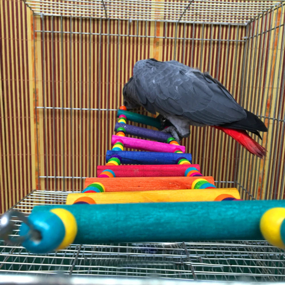 Twelve-Step Bird Climbing Ladder