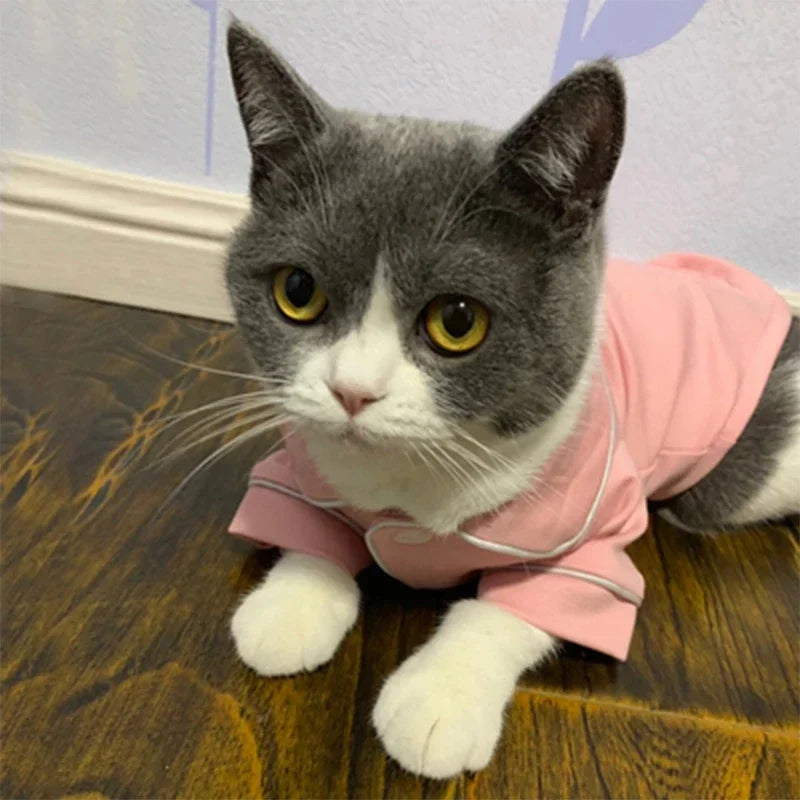 Christmas Cat Hoodie Costume