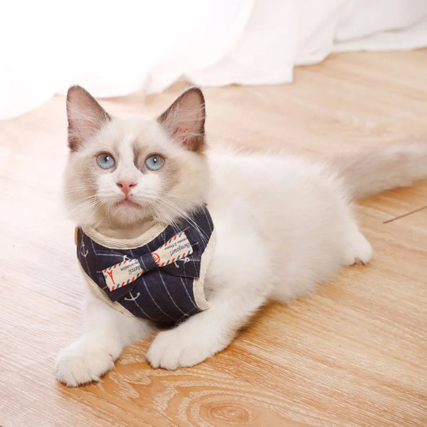 Padded Nylon Pet Harness Set