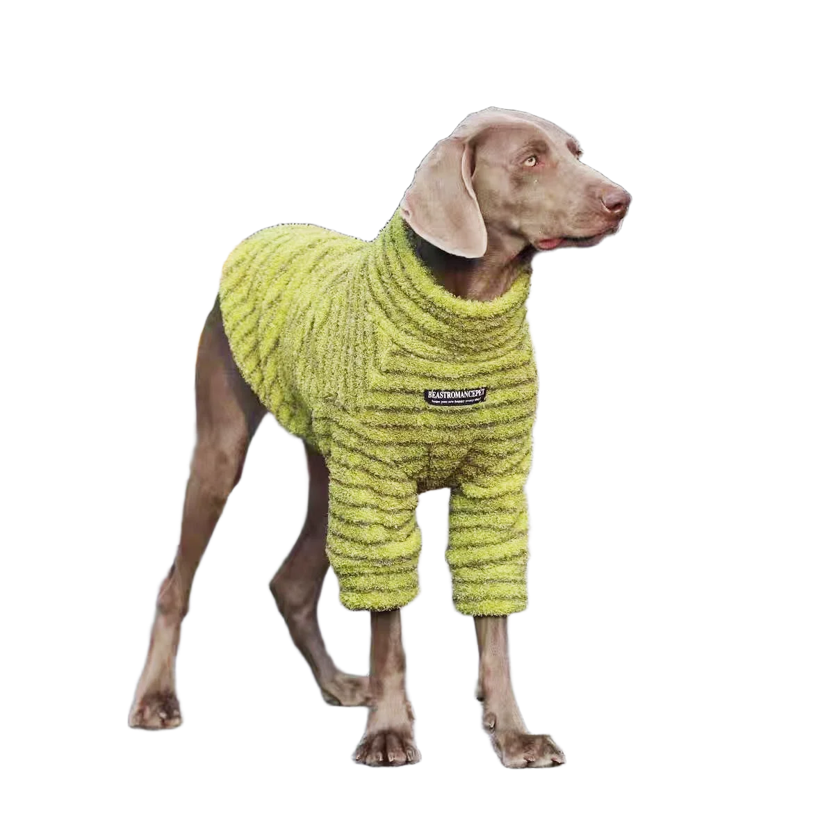 Striped Fleece Dog Turtleneck
