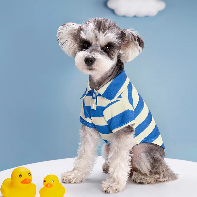 Summer Striped Polo Shirt