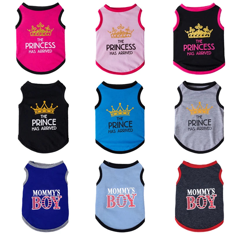 Mesh Summer Sphynx Vest