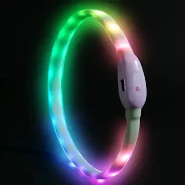 Rechargeable LED Dog Collar