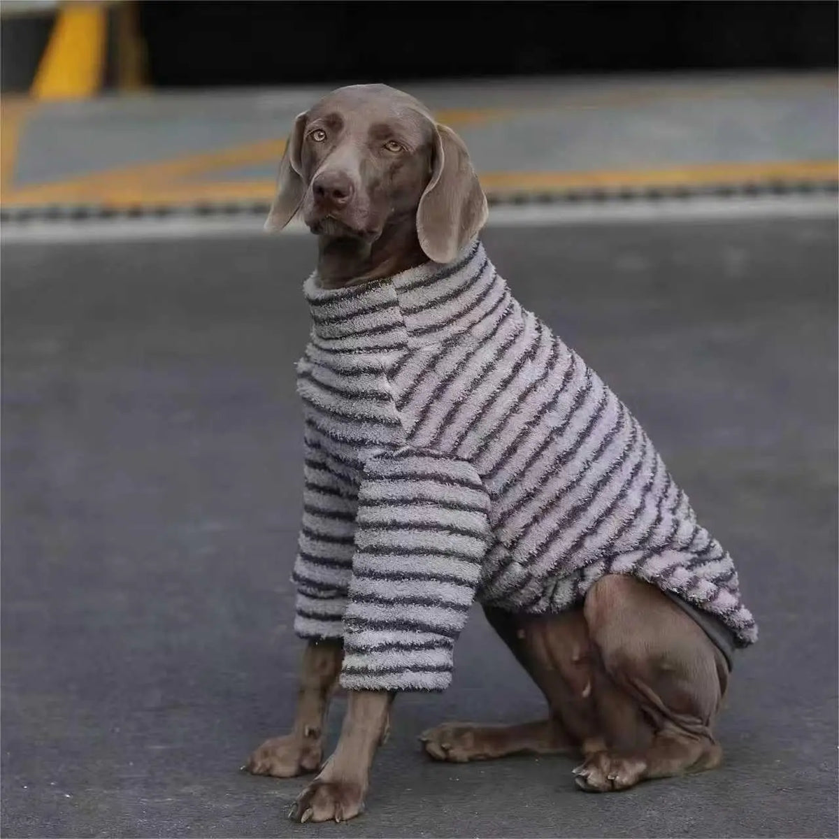 Striped Fleece Dog Turtleneck